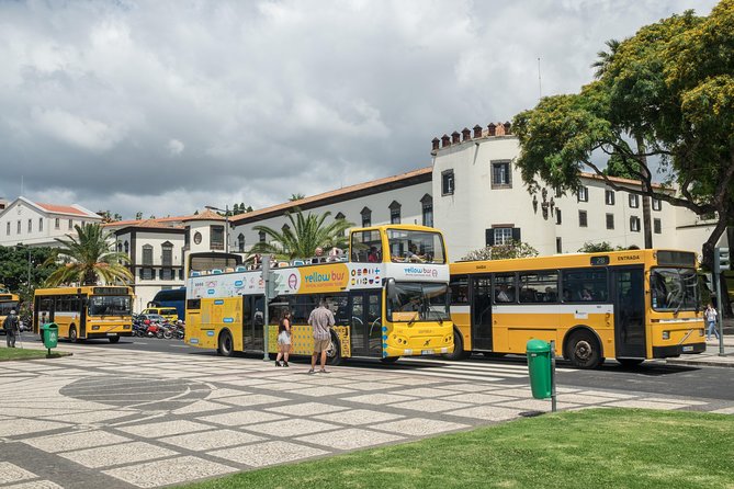 Hop-on Hop-off Bus Tour and Catamaran Whale & Dolphin Watching - Reaching Pico dos Barcelos by bus