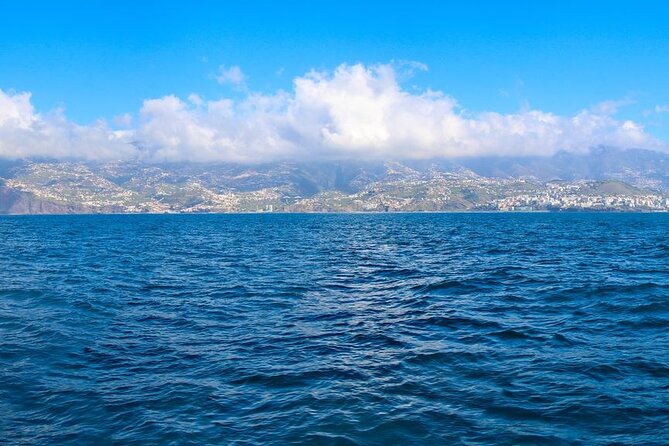 Hop-on Hop-off Bus Tour and Catamaran Whale & Dolphin Watching - Old Funchal: City Gates, market, and cathedral