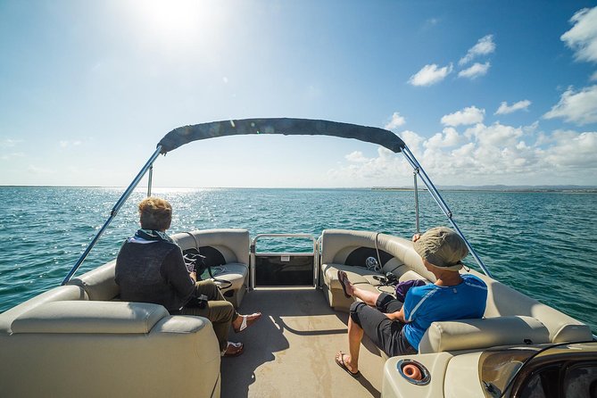 Ilha Deserta and Farol Island: a small group boat trip in Ria Formosa from Faro - Birdlife, conservation, and the value of a good guide