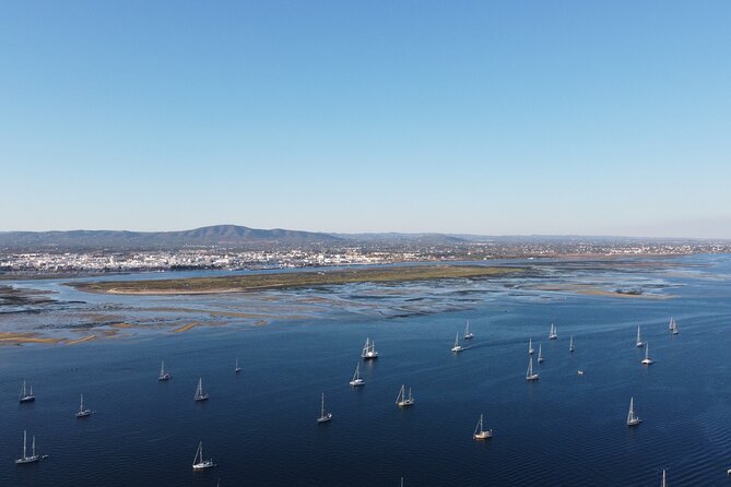 Islands Tour: Half Day Cruise in Ria Formosa Natural Park - The short second stop: Farol or Armona?