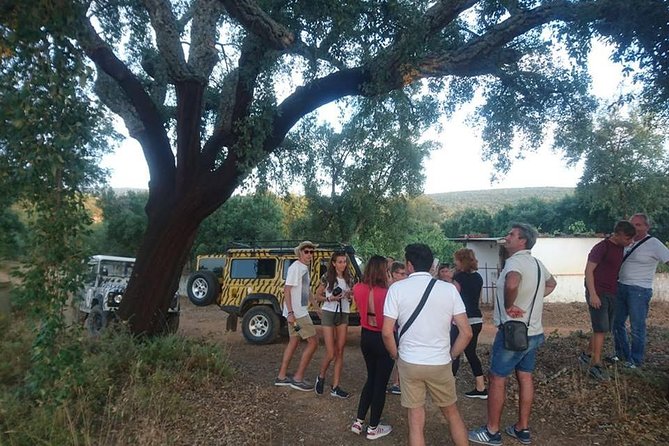 Jeep Safari Tour - Full Day - Sarnadas and the high country