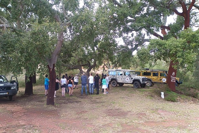 Jeep Safari Tour - Half Day - Farms, local produce, and the liquor tasting