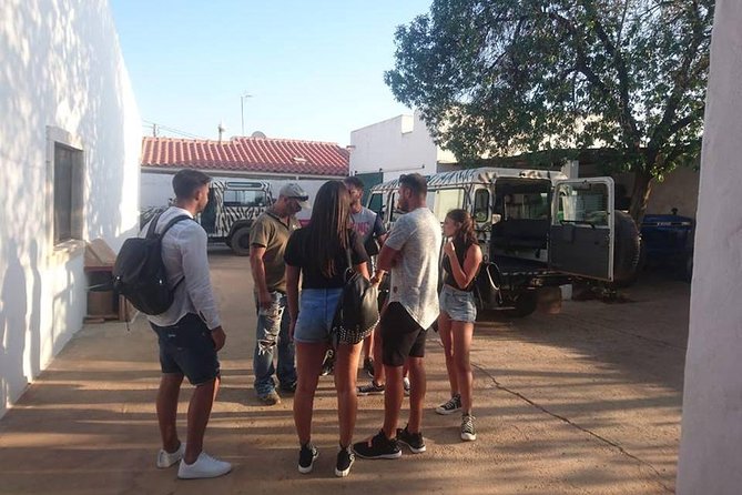 Jeep Safari Tour - Half Day - Timing, pickup, and what to bring