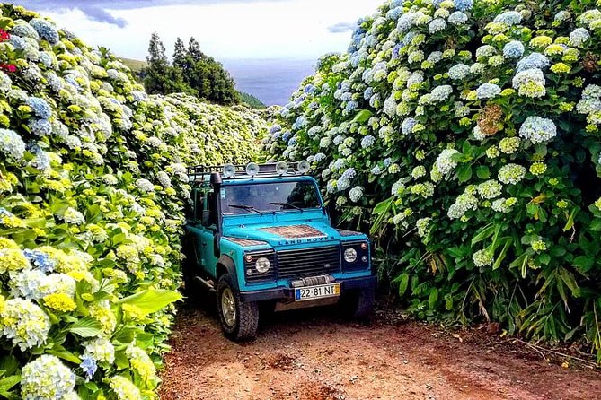 Jeep Tour Full Day Sete Cidades & Lagoa do Fogo with lunch and drinks included. - Key reasons to consider this São Miguel Jeep tour
