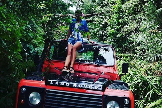 Jeep Tour To Santana: Old Forest Full-Day East-Side - Ribeiro Frio and the Laurissilva forest