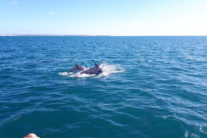 Kayak Algarve tour BENAGIL by Diamond tours - Smaller Caves and the Algarve Cliffs