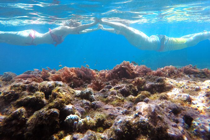 Kayak and Snorkeling Tour in Underwater Nature Reserve Garajau - The guides make the difference