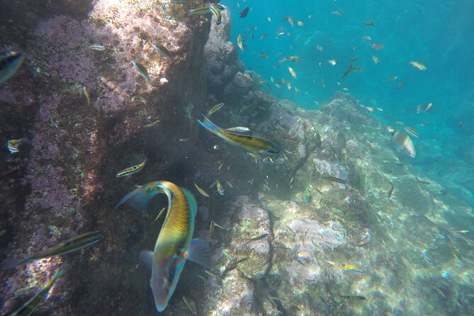 Kayak and Snorkeling Tour in Underwater Nature Reserve Garajau - Weather is part of the experience