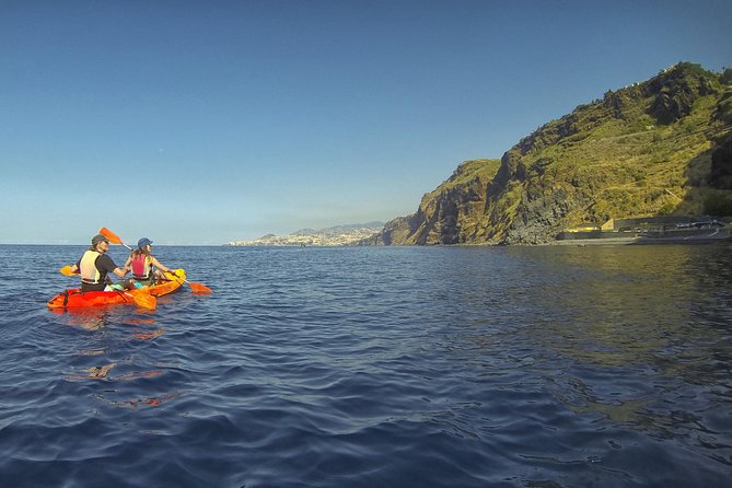 Kayak and Snorkeling Tour in Underwater Nature Reserve Garajau - What you may see while snorkeling