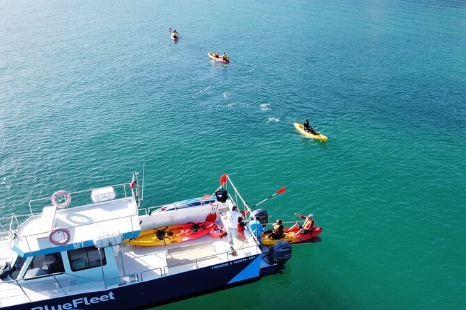 Kayak Experience in Ponta da Piedade - The final swim beside the catamaran
