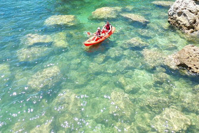 Kayak Experience with a Local - Key points to know before booking