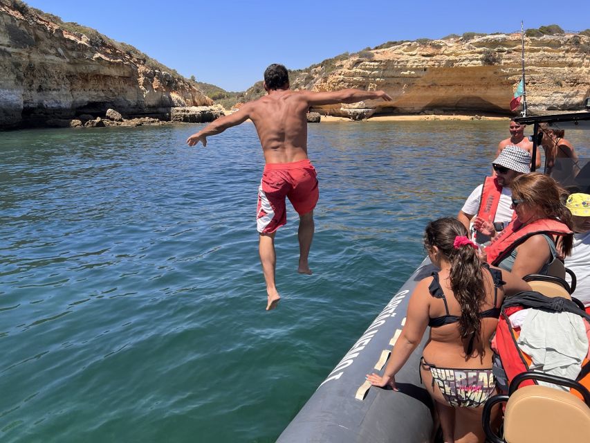 Lagoa: Dolphin Watching & Benagil Tour with Biologist Guide - Why the guide makes the wildlife search better