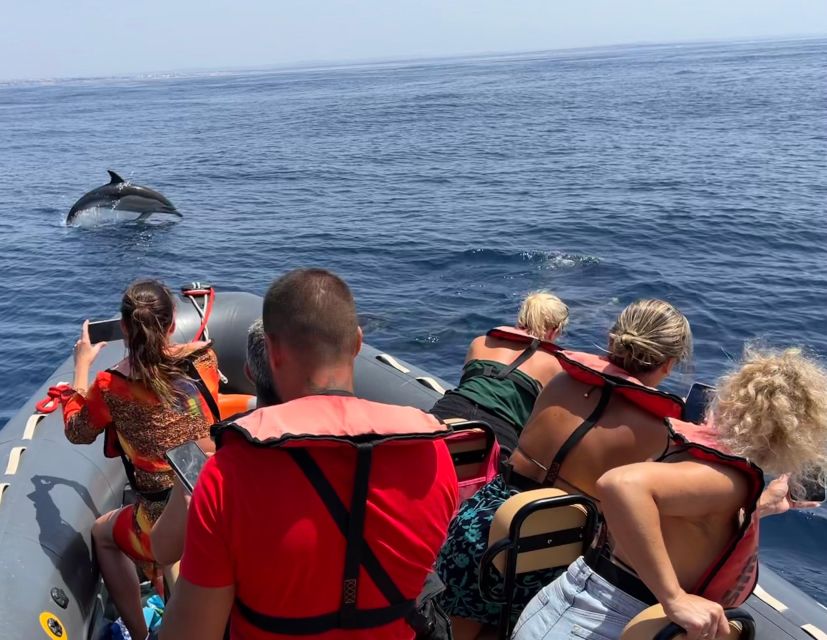 Lagoa: Dolphins Expedition with biologist guide on board - The search takes about two and a half hours