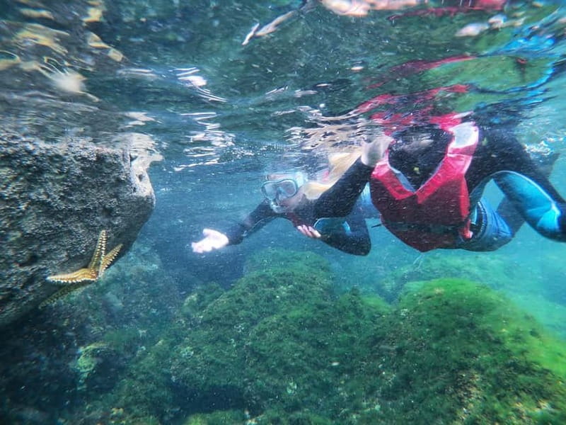 Lagos: Algarve Coasteering and Snorkeling Adventure - Snorkeling is a bonus, not the main event