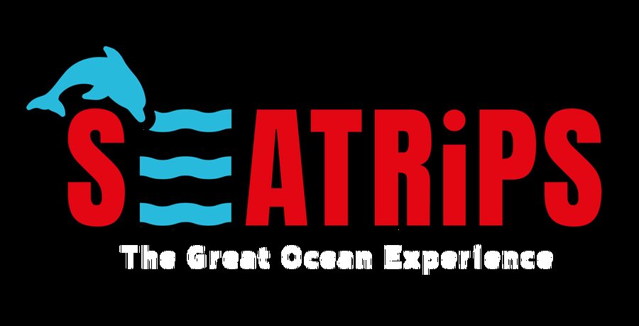 Lagos: Combo Dolphin and Benagil Tour with Marine Biologist - Key points to know before booking