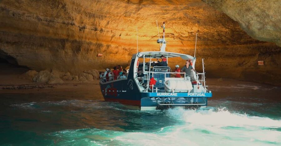 Lagos: Combo Dolphin and Benagil Tour with Marine Biologist - Why the marine biologist matters