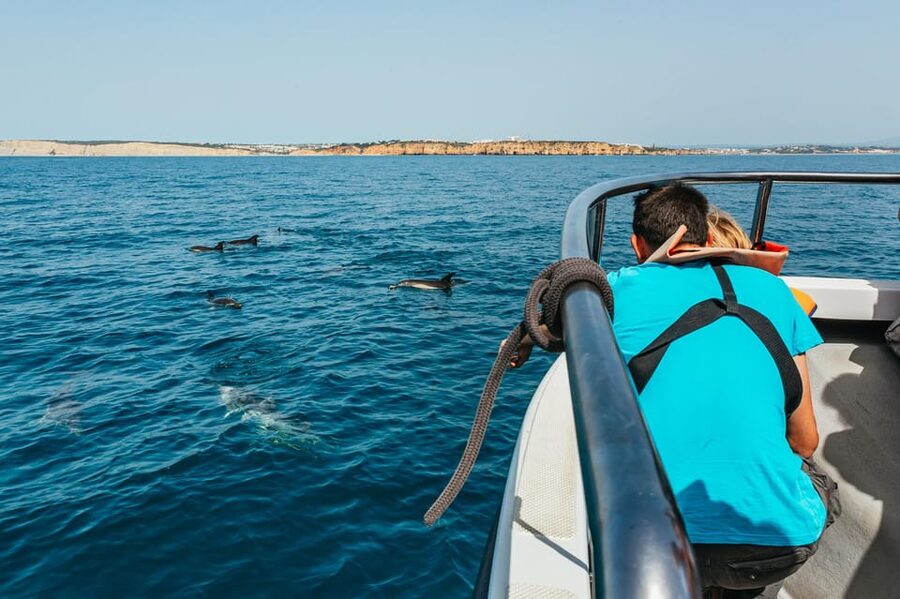Lagos: Dolphin Watch Tour with Professional Marine Biologist - The most useful tips before you go