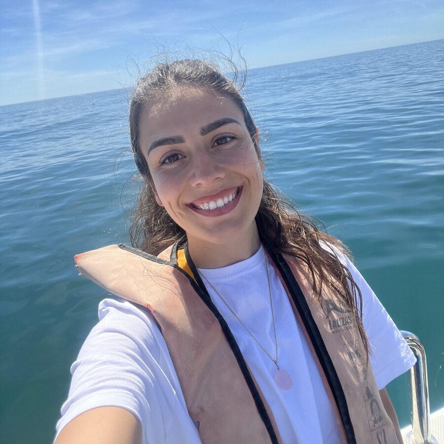 Lagos: Dolphin Watch Tour with Professional Marine Biologist - Searching the Atlantic for the first pod