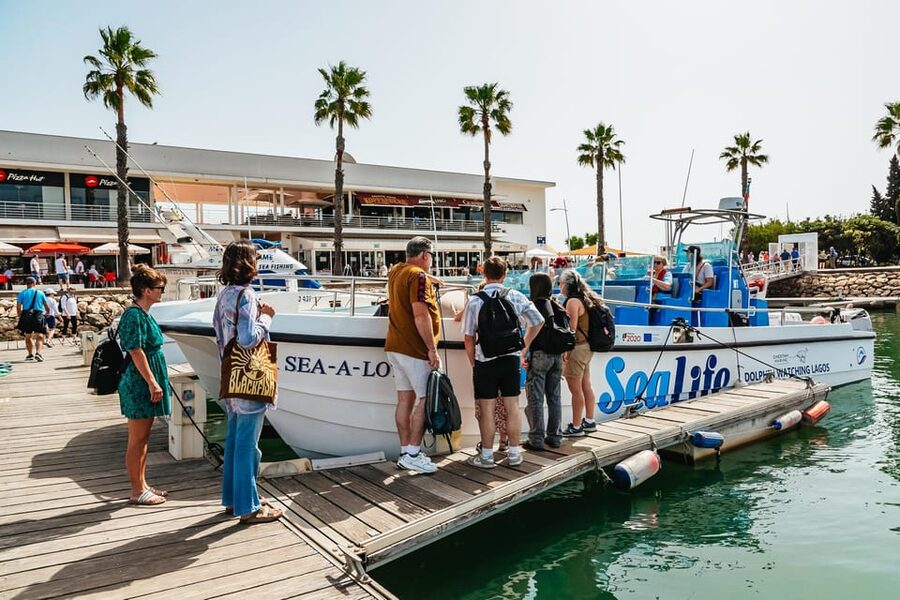 Lagos: Dolphin Watch Tour with Professional Marine Biologist - What the marine biologist adds