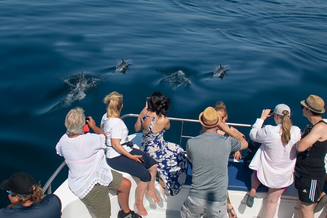 Lagos: Dolphins & Benagil Caves – Catamaran - Searching for Dolphins in the Open Atlantic