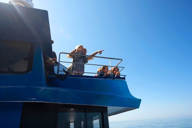 Lagos: Dolphins & Benagil Caves – Catamaran - A Swim Stop With an Inflatable Slide