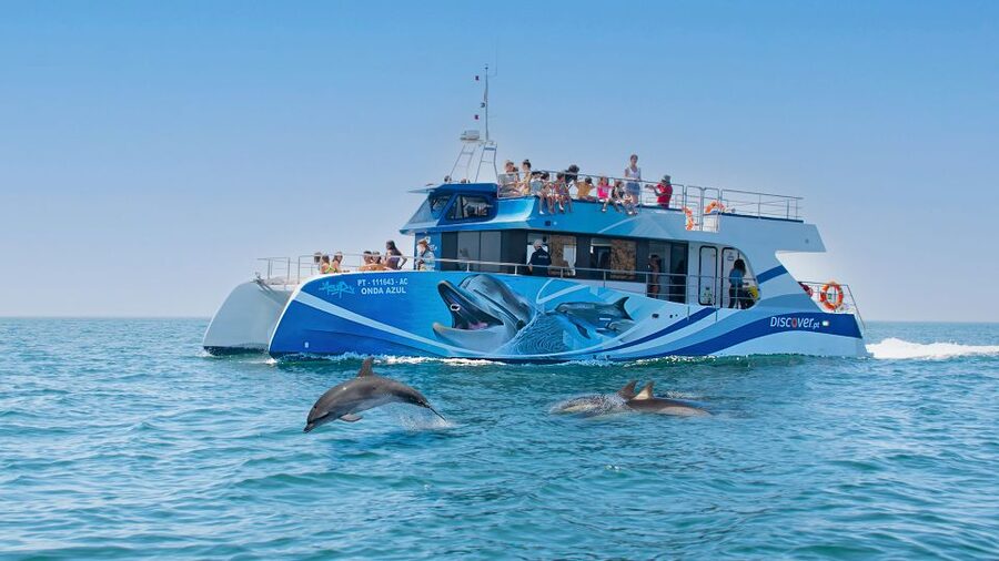 Lagos: Dolphins & Caves - Catamaran - From Gate EFGHI to the open Atlantic