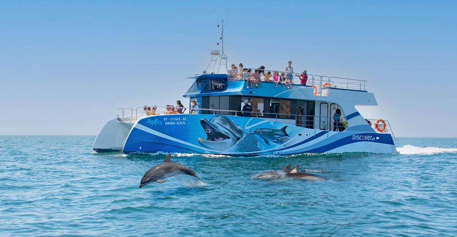Lagos: Dolphins & Caves - Catamaran - Marine biology without a classroom feel