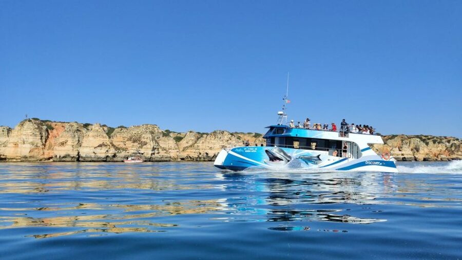 Lagos: Dolphins & Caves - Catamaran - Searching for dolphins in their natural home