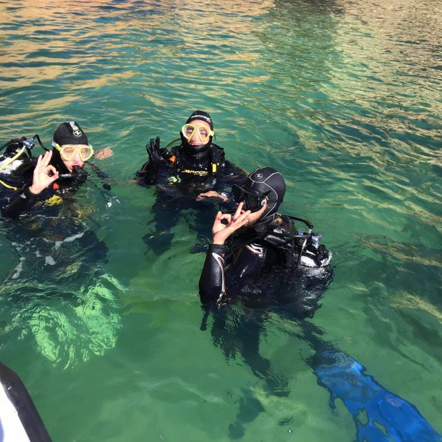 Lagos: Guided Scuba Diving Trip for Beginners - Practical planning for your Lagos stay
