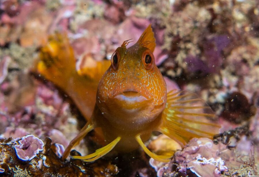 Lagos: Guided Scuba Diving Trip for Beginners - Getting fitted with full scuba equipment