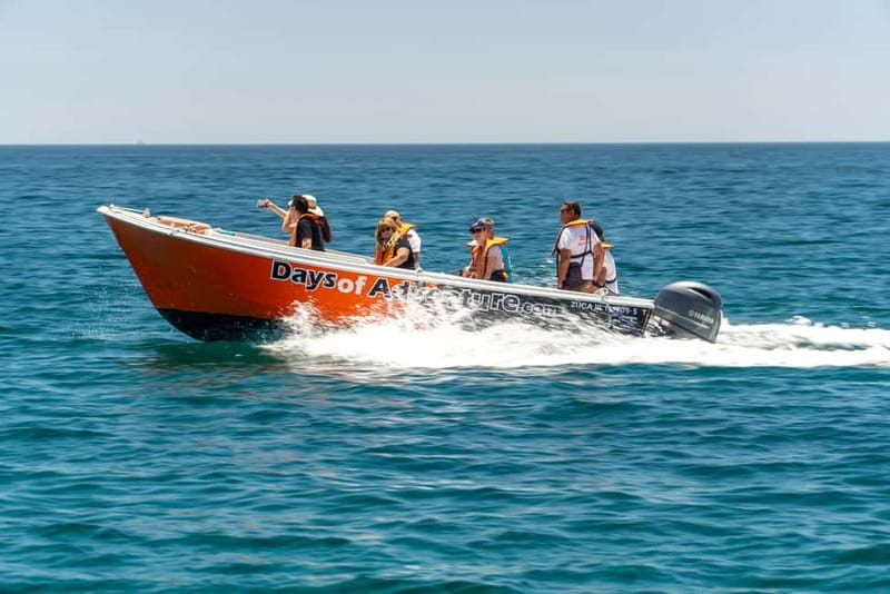 Lagos: Ponta da Piedade Caves Boat Tour - Value for money at $21