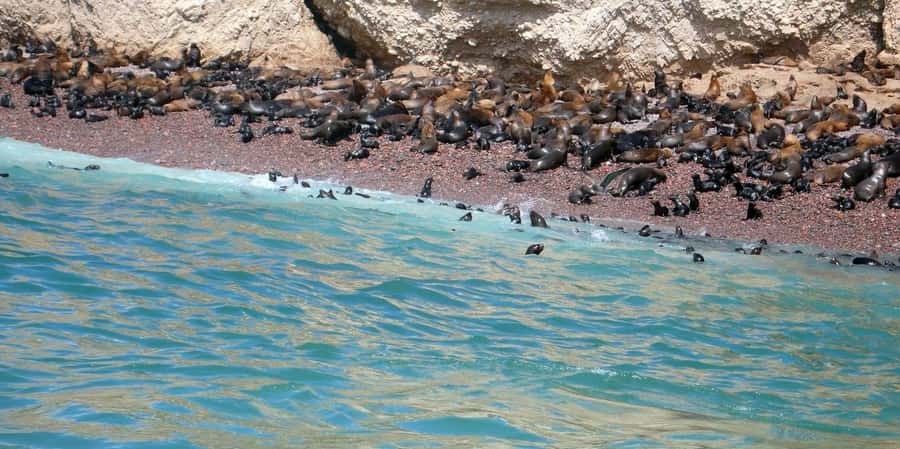Lagos/Praia da Luz: Wine Tour, Tastings, Tapas, and Music - Who Will Enjoy This Experience Most?
