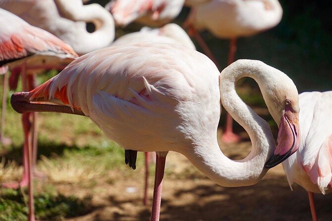 Lagos Zoo Admission Ticket - Key points to know before visiting