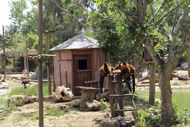 Lagos Zoo Admission Ticket - What kind of day Lagos Zoo offers
