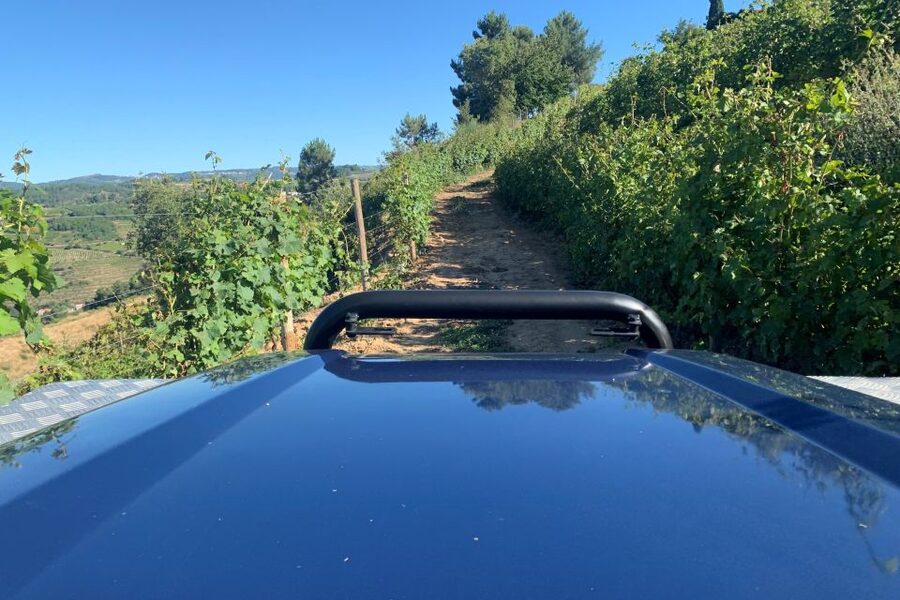 Lamego: Quinta da Portela de Baixo Winery Tour and Tasting - How long does the one-hour visit really take?