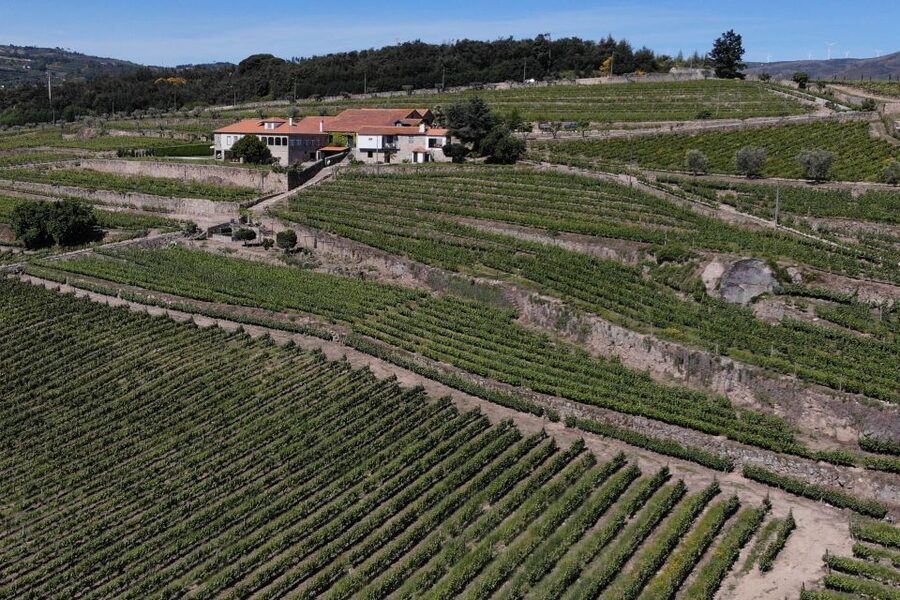 Lamego: Quinta da Portela de Baixo Winery Tour and Tasting - Who will enjoy this winery visit most?