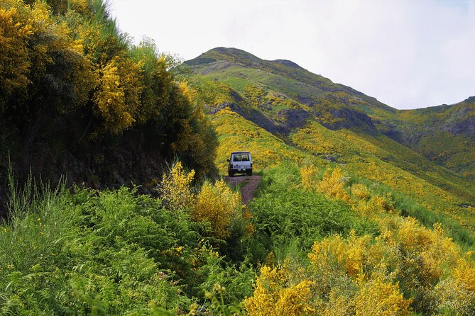 Let-Me-Surprise-You Private Full-Day Tour in All Terrain Vehicle - Waterfalls, rock pools, and the Atlantic coast