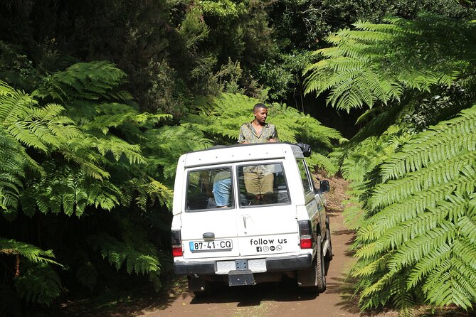 Let-Me-Surprise-You Private Full-Day Tour in All Terrain Vehicle - Poncha, Madeira wine, and lunch outside the tour price
