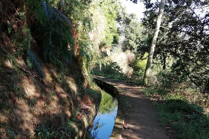 Levada da Referta - Castelejo - Why this two-hour walk works for first-timers