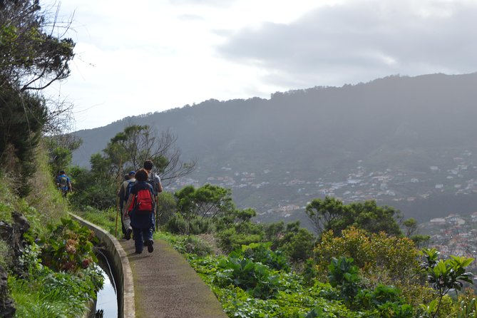 Levada da Referta - Castelejo - What the guide adds to a simple route