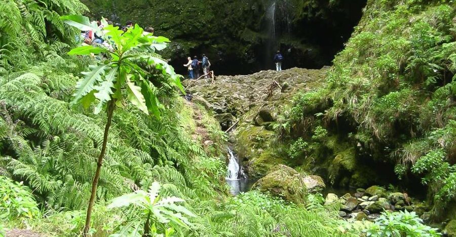 Levada Walk and Caldeirao Verde Waterfalls: Madeira - Key points to know before booking