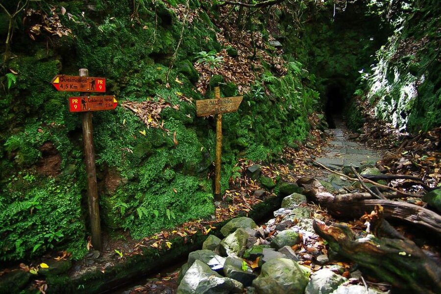 Levada Walk and Caldeirao Verde Waterfalls: Madeira - The return walk is part of the challenge
