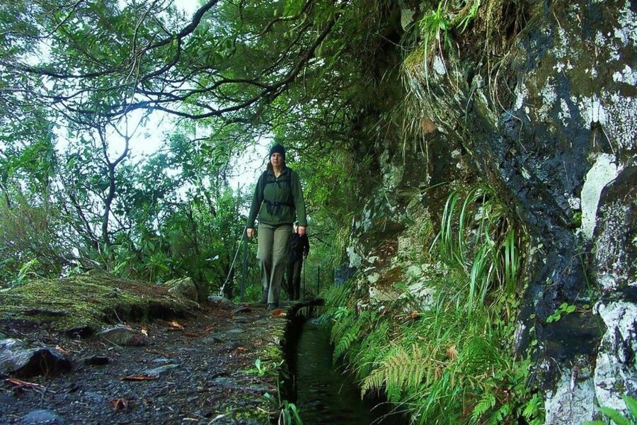 Levada Walk and Caldeirao Verde Waterfalls: Madeira - Stone paths through Madeira’s Laurisilva forest
