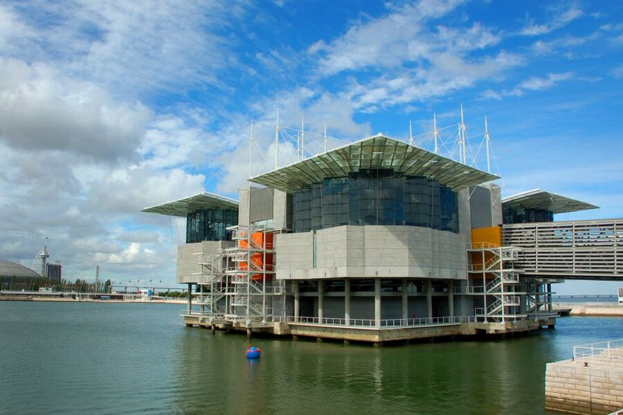 Lisbon: 3-in-1 Hop-On Hop-Off Bus and Tram Tours - Who will get the most from this tour?