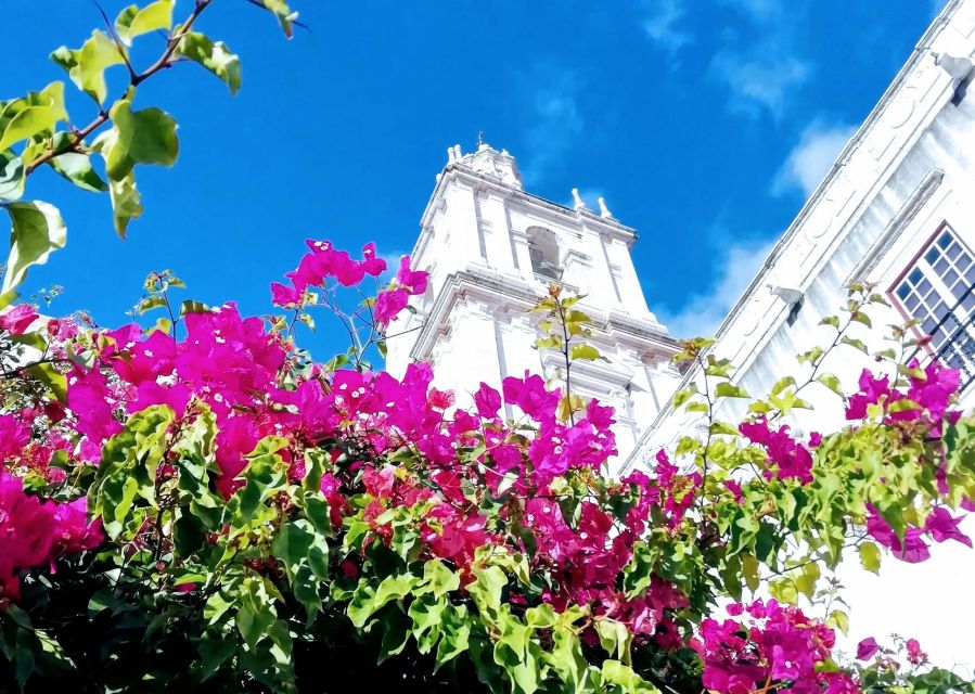 Lisbon: 7 Hills Panoramic Guided Tour by E-Bike - Four hours, ten people, and the right pace