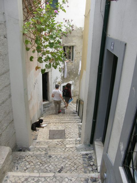 Lisbon: Alfama and São Jorge Castle Quarters Walking Tour - Starting at Casa dos Bicos, Lisbon’s spiky landmark
