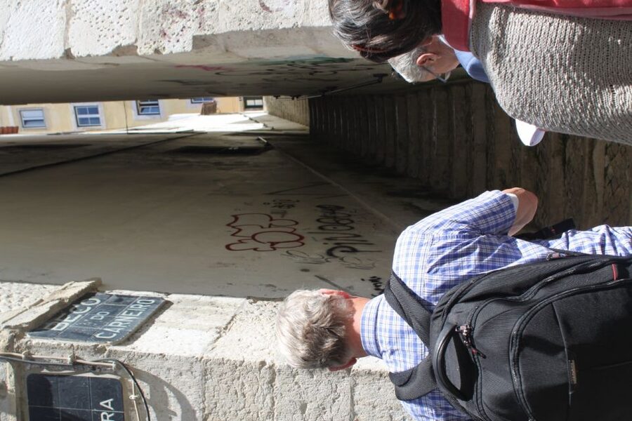 Lisbon: Alfama and São Jorge Castle Quarters Walking Tour - Guide quality and group atmosphere