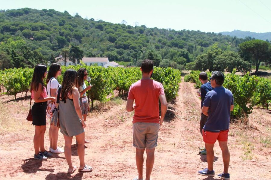 Lisbon: Arrábida and Sesimbra Day Trip with Wine - Starting at Restauradores and crossing the Tagus