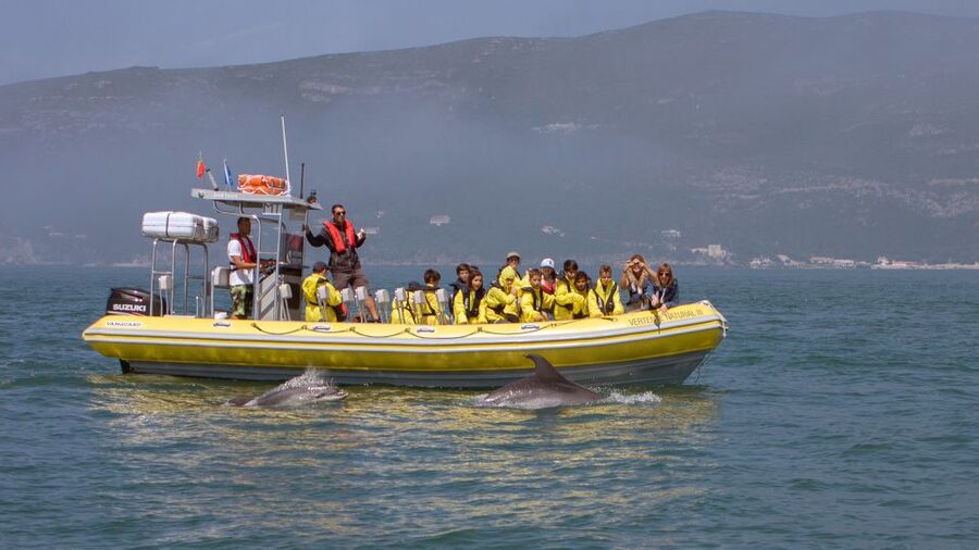 Lisbon: Arrábida Natural Park Dolphin Watching Boat Tour - Starting in Sesimbra, where the sea sets the tone