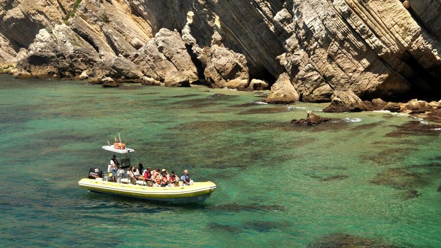Lisbon: Arrábida Natural Park Dolphin Watching Boat Tour - Price, timing, and what you really get for $58